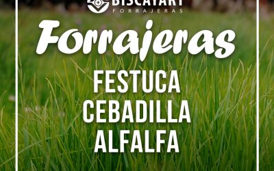 Semillas forrajeras Biscayart