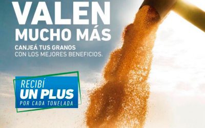 Canje de Granos en YPF Directo EXPOAGRO 2019