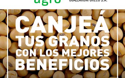 Canje de granos todo el año