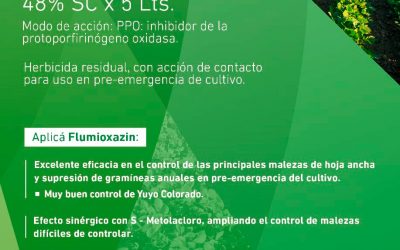 Herbicidas Metolacloro y Flumioxazin