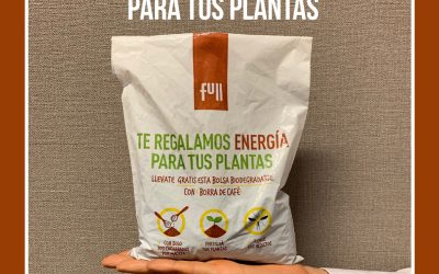 Te regalamos energía para tus plantas