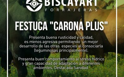 Disponemos de una amplia línea de materiales para pasturas y verdeos.