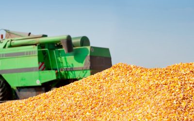 Coronavirus: cómo se pueden proteger los productores y contratistas durante la cosecha.