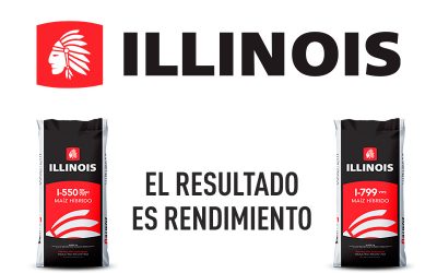 Maíces Illinois en YPF Agro Guazzaroni Greco
