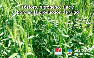 Azufre, un aliado del nitrógeno.