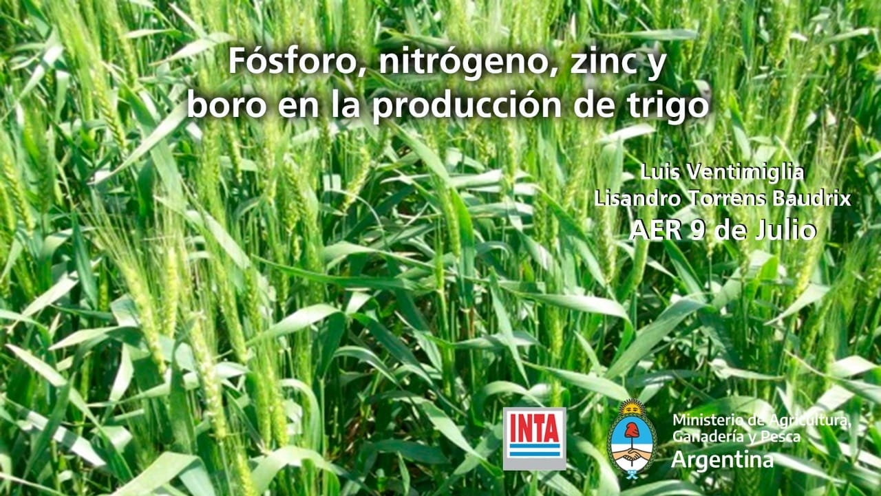 WhatsApp Image 2020-04-27 at 8.51.12 PM