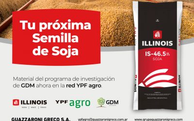 Soja Illinois IS-46.5 RR / STS