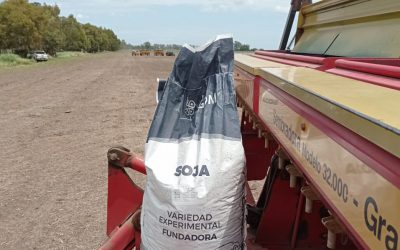 Siembra de ensayo de Soja Enlist en 9 de Julio