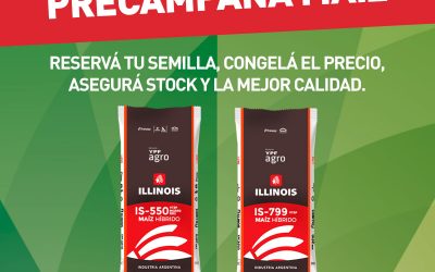 Tu próxima semilla de Maíz encontrala en YPF Agro Guazzaroni Greco S.A.