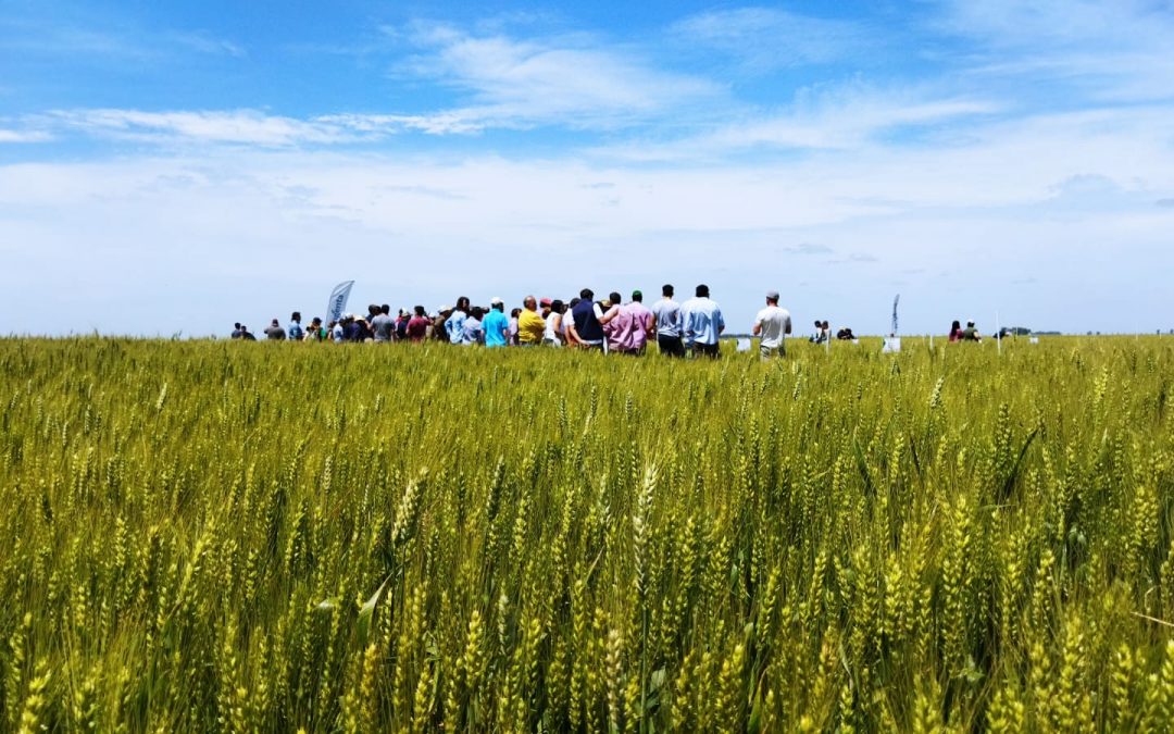 UPA Regional Aapresid Bolívar 2021