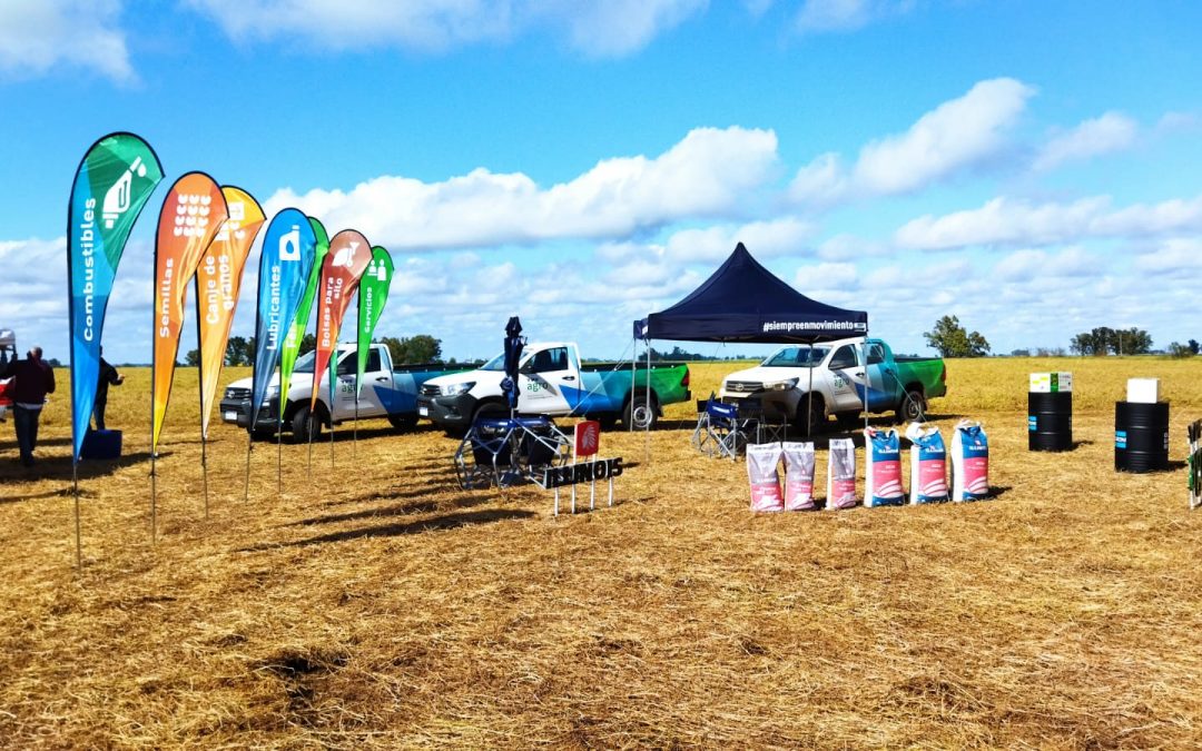 UPA Regional Aapresid 9 de Julio – Carlos Casares 2021