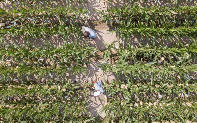 Se viene Conecta YPF Agro