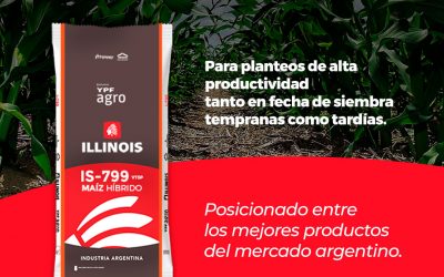 Maíz IS-799 TRECEPTA de Semillas Illinois