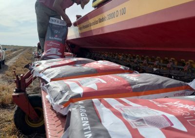 Semillas Maíz Illinois Guazzaroni Greco