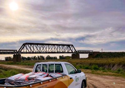 Semillas Maíz Illinois Guazzaroni Greco