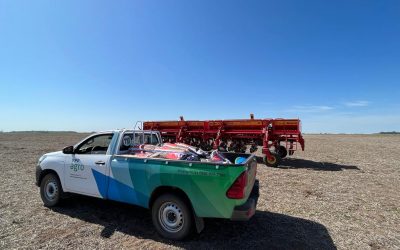 Se largó la siembra de Maíz