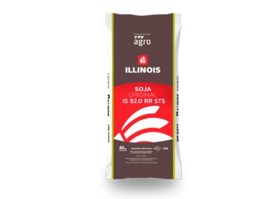 Soja Illinois IS-52.0 RR / STS