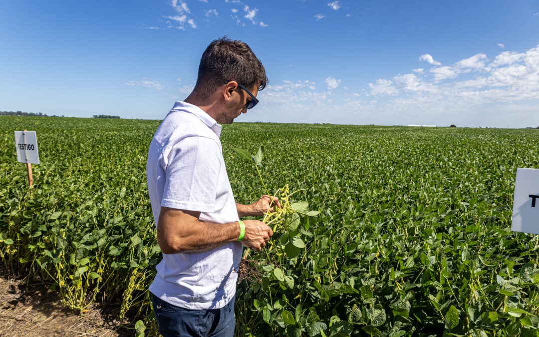 Jornada Conecta YPF AGRO en Mones Cazón (Pehuajó)