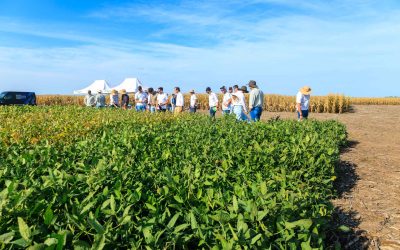 Jornada a campo con equipo comercial de Guazzaroni Greco S.A.