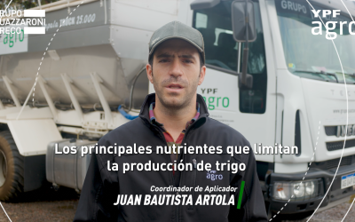 Apliación anticipada de Urea en trigo